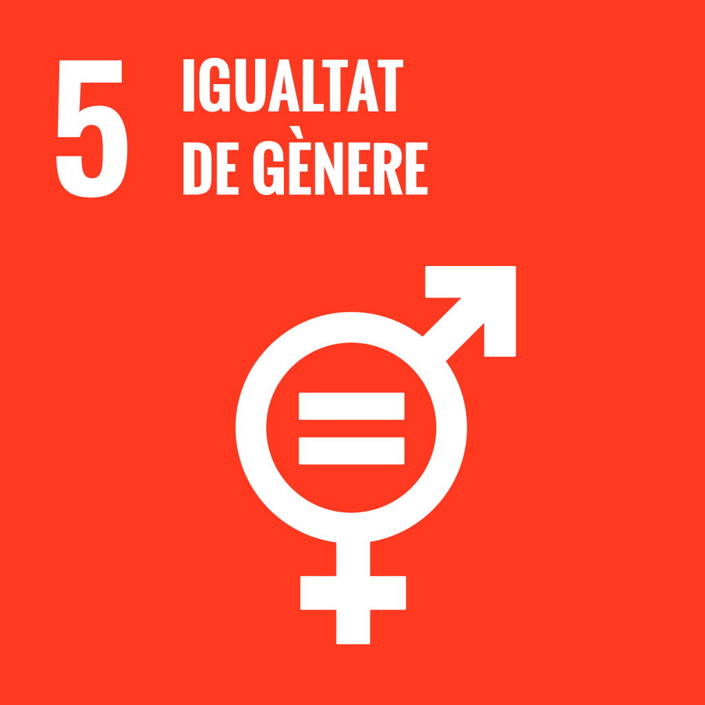 Igualtat de gènere - igualtat-de-genere.png