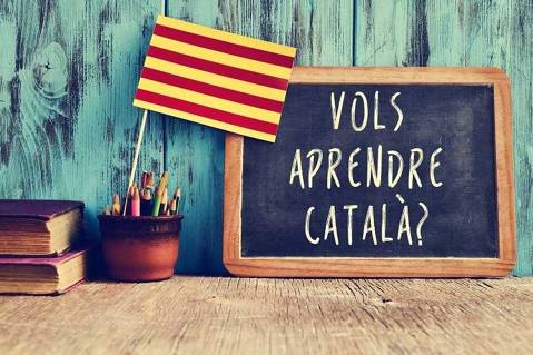 <b>Curs Online</b>: Català pel servei d’atenció domiciliaria (30h)