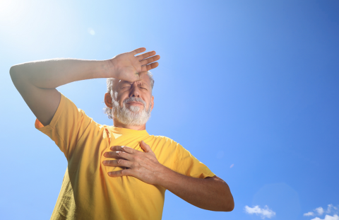 Quan la calor puja, cuidar és essencial